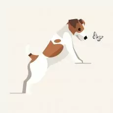 15100718511205258762 | Laughing Dog Food