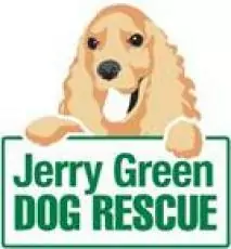 15101599241720705347 | Laughing Dog Food