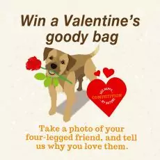 15180868221536151511 | Laughing Dog Food