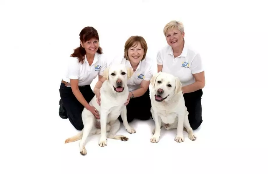 1551606924801525695 | Laughing Dog Food