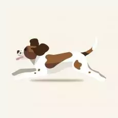 15517118631181924754 | Laughing Dog Food