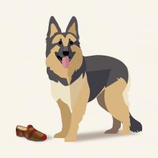 15586002151299642020 | Laughing Dog Food 15586002151299642020 | Laughing Dog Food