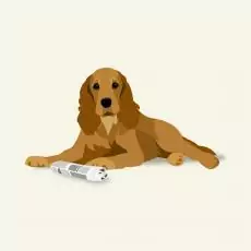 15586004401148119003 | Laughing Dog Food