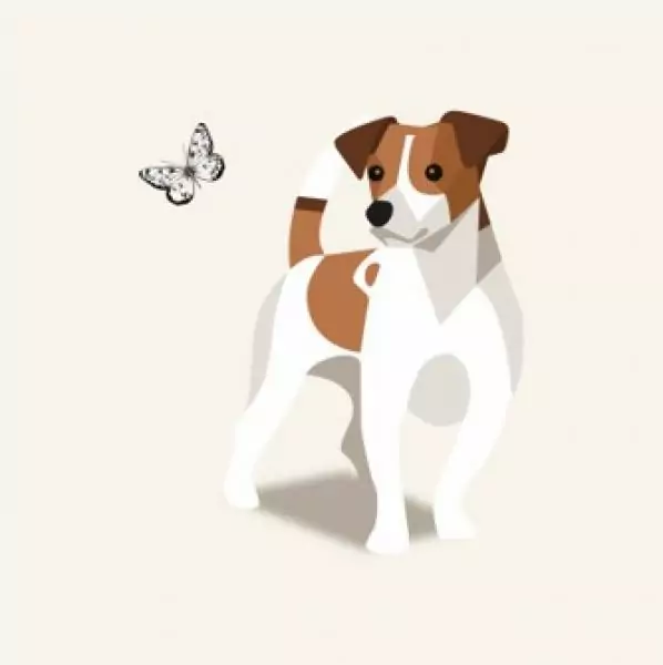 155860201954514563 | Laughing Dog Food