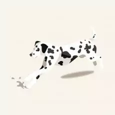 1558602259283730856 | Laughing Dog Food