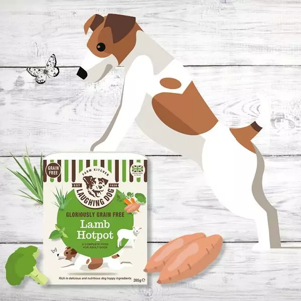 1558602310535388644 | Laughing Dog Food