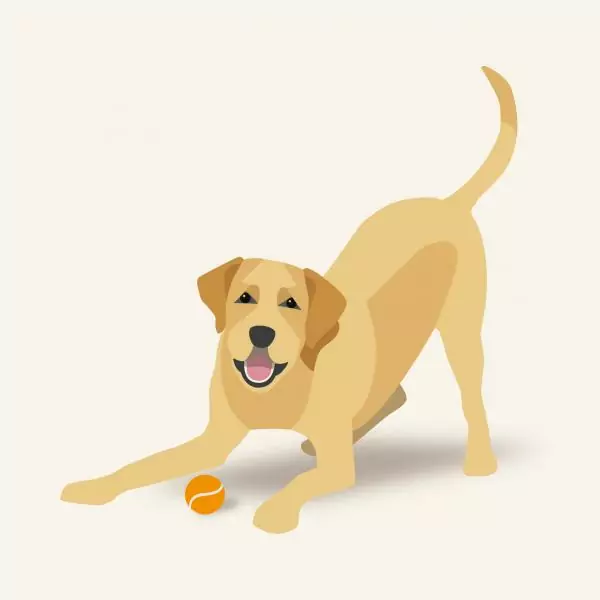 15586026821348417245 | Laughing Dog Food
