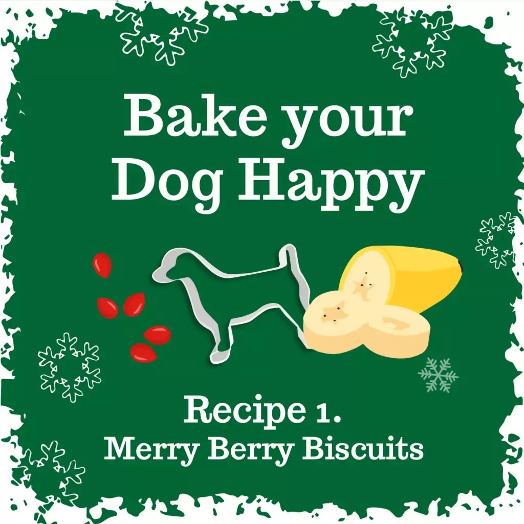 Recipe | Laughing Dog Food