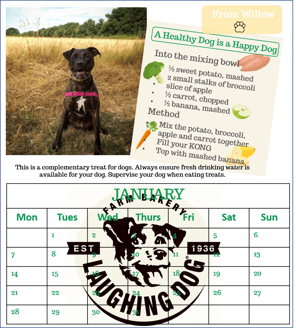 Calendar for dogs | Laughing Dog Food