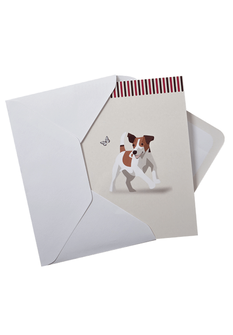 card with white background | Laughing Dog Food