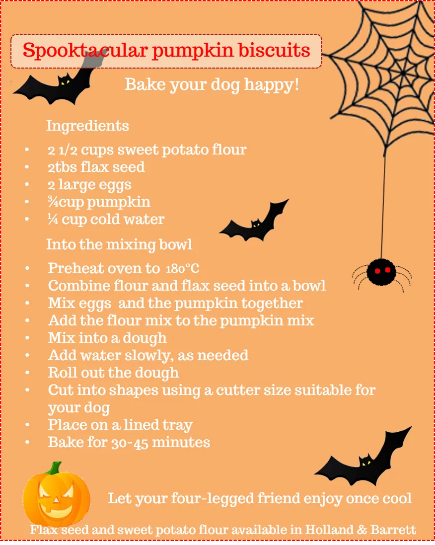 Halloween dog treat recipe | Laughing Dog Food