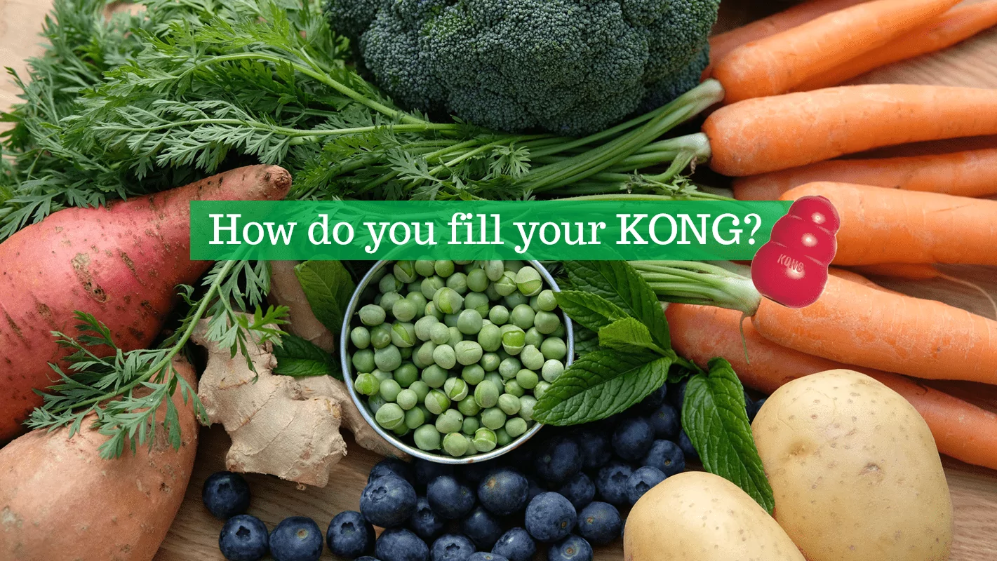 kong comp e shot | Laughing Dog Food