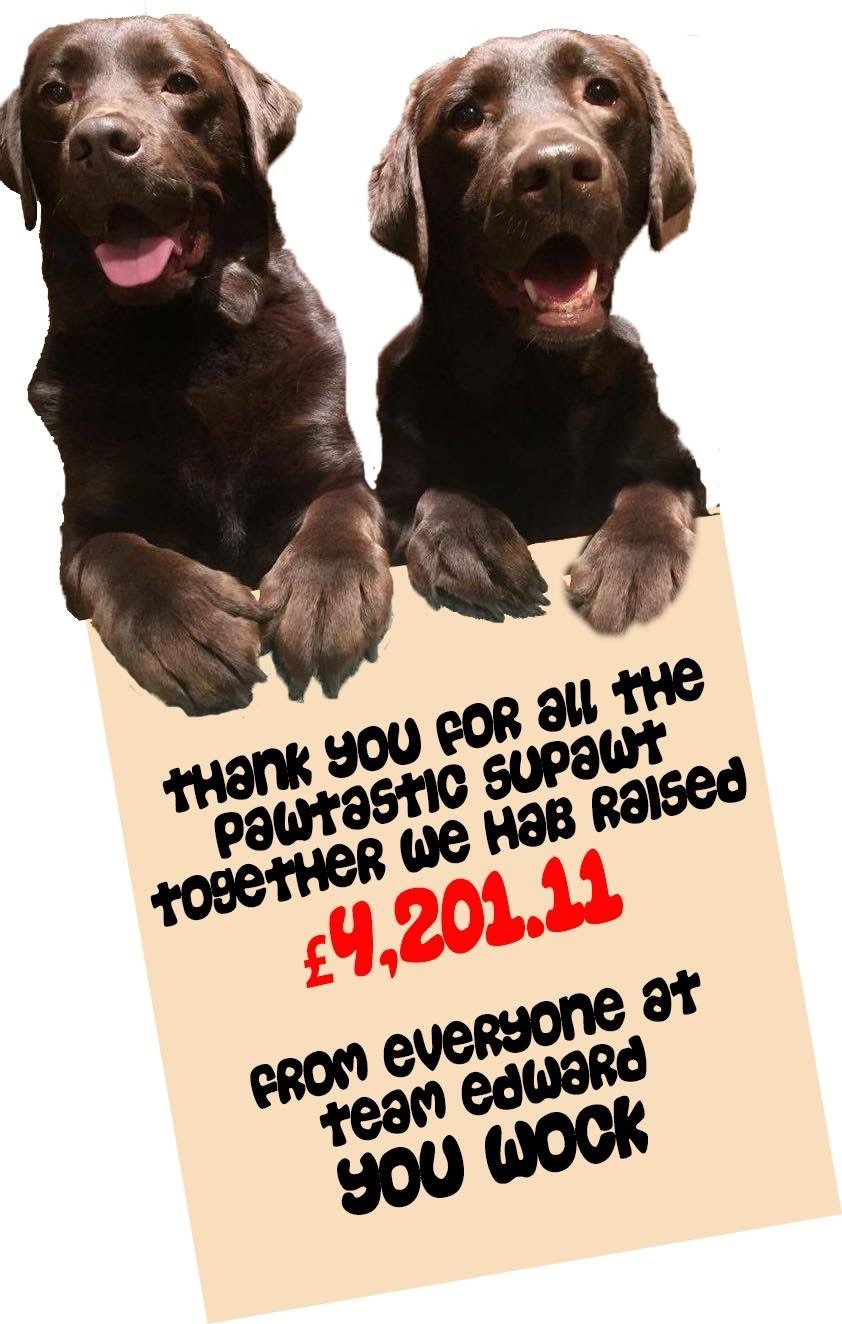 Thnk you dogs | Laughing Dog Food