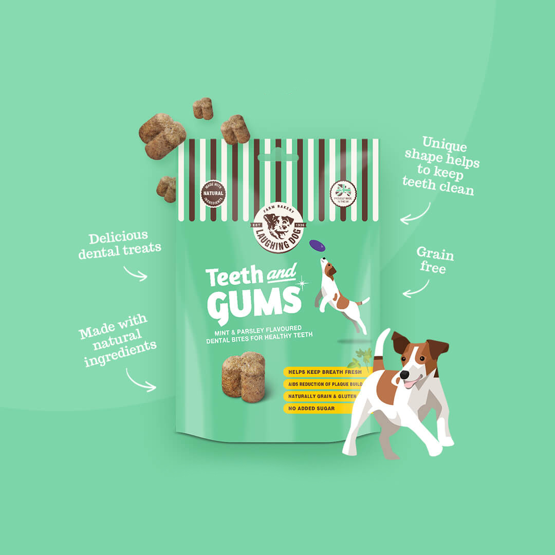 528417923 teeth and gums info | Laughing Dog Food