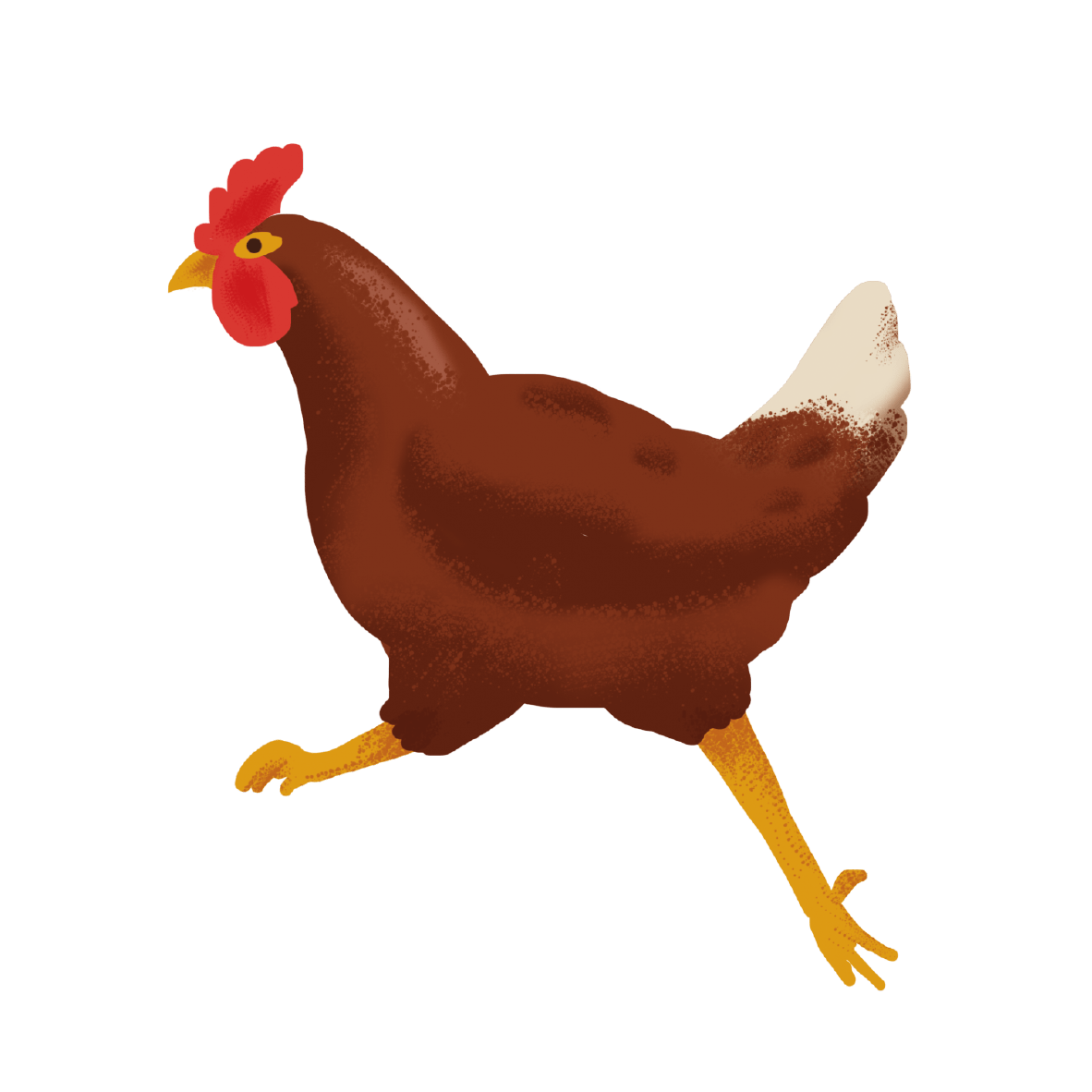 LD7 Chicken Chicken | Laughing Dog Food