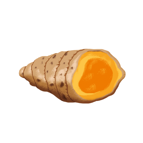 Sweet Potato