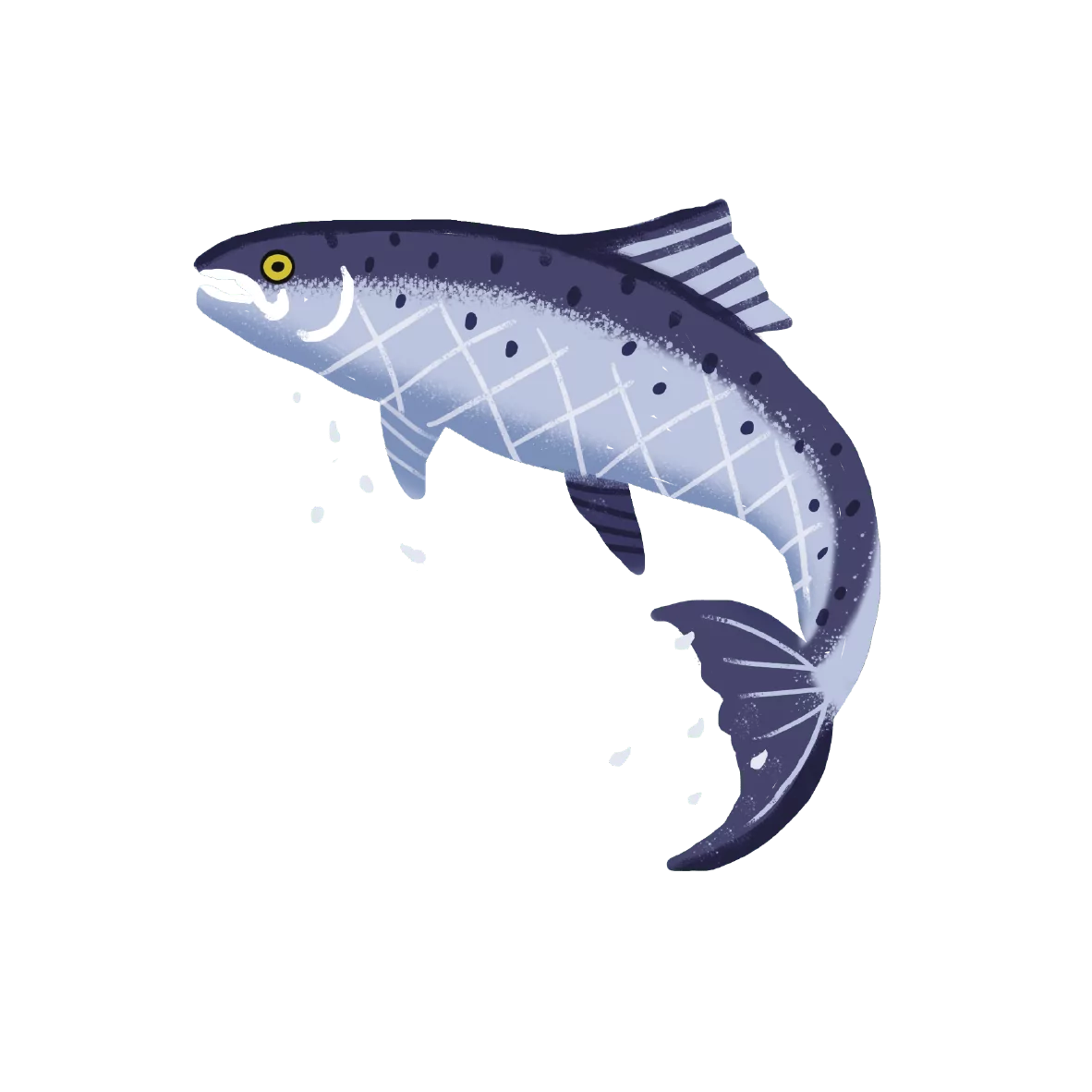LD7 Salmon Salmon | Laughing Dog Food