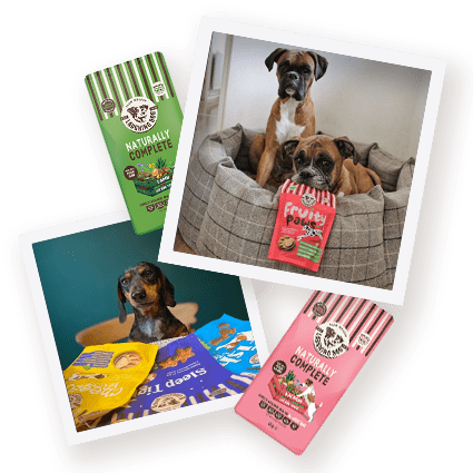 LD CaughtOnCamera1 | Laughing Dog Food LD CaughtOnCamera1 | Laughing Dog Food