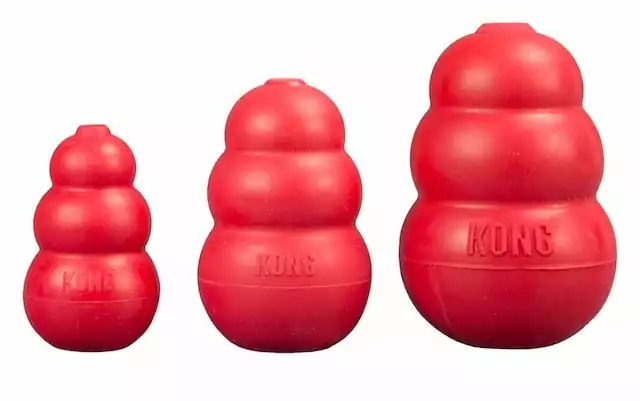 KONG Recipes | Laughing Dog Food