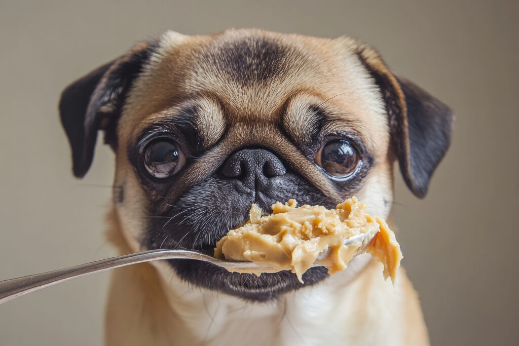 AdobeStock 930015388 | Laughing Dog Food