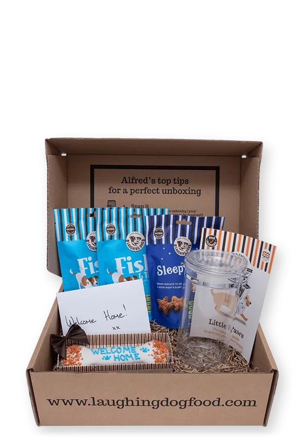 new puppy hamper