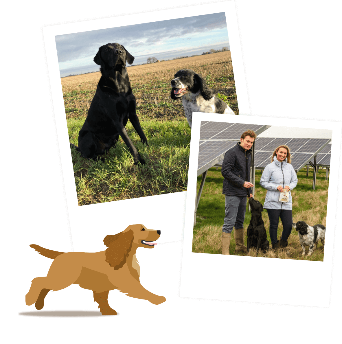 ld foreground | Laughing Dog Food ld foreground | Laughing Dog Food