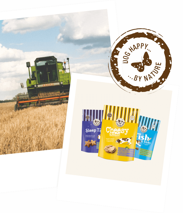 sustainable processes | Laughing Dog Food sustainable processes | Laughing Dog Food