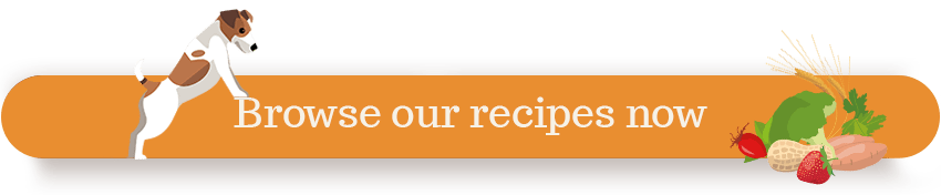 Browse Recipes Orange | Laughing Dog Food