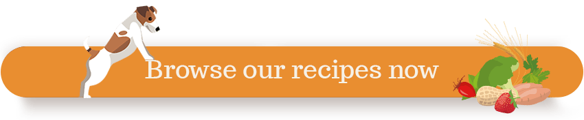 Browse Recipes Orange | Laughing Dog Food