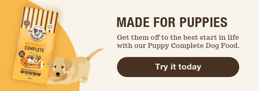 Puppy dog food | Laughing Dog Food