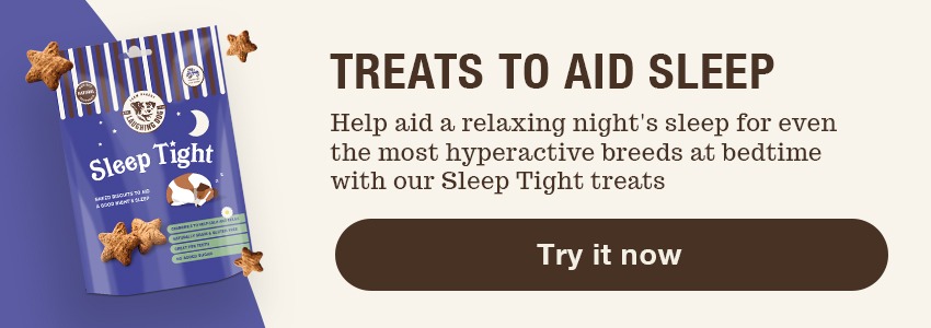 Sleep treats for dogs | Laughing Dog Food