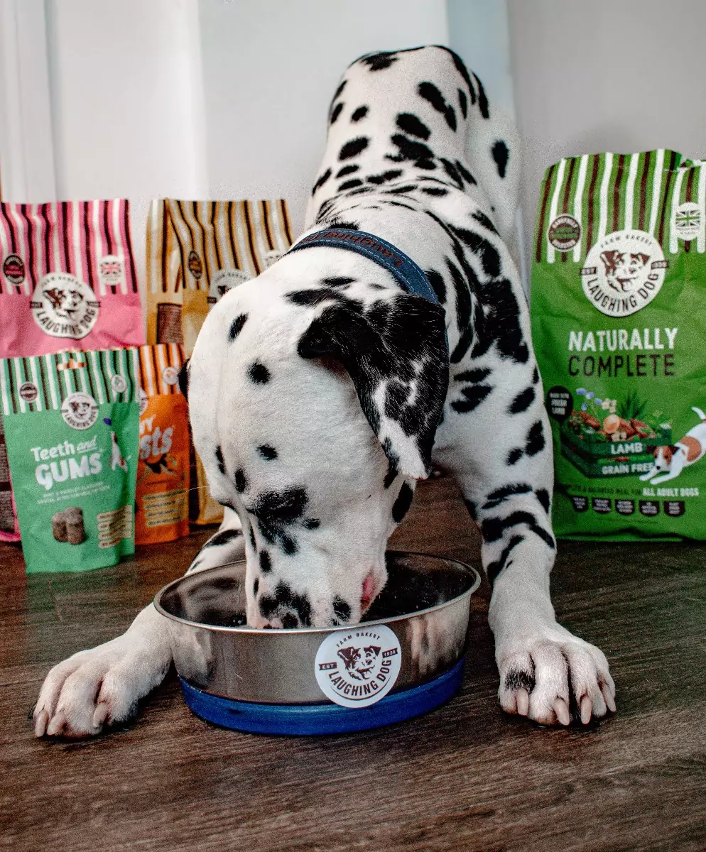 Spotty dog eating dog food | Laughing Dog Food