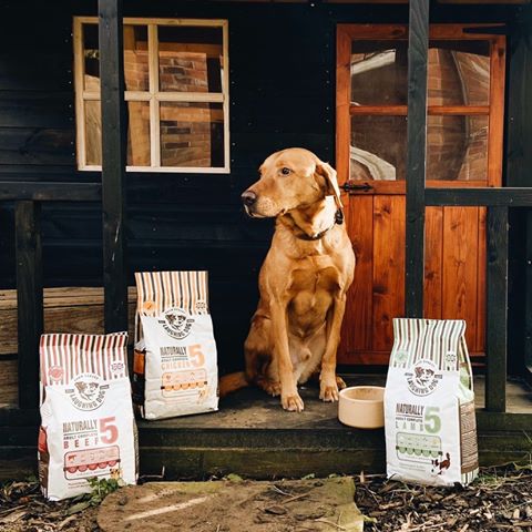 Complete Lamb Dry Dog Food Wheat Free Adult Dog Food