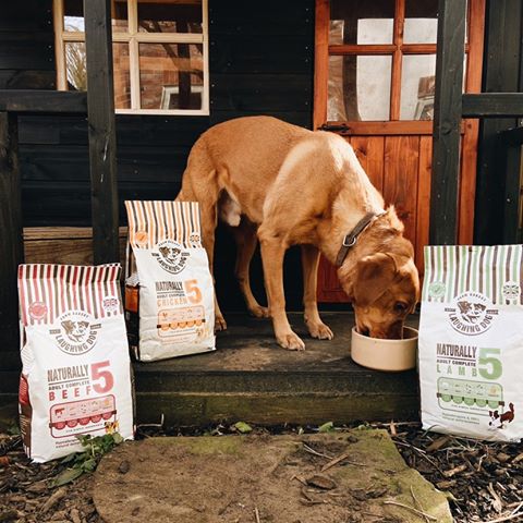 Naturally 5 Adult Complete Chicken Dog Food