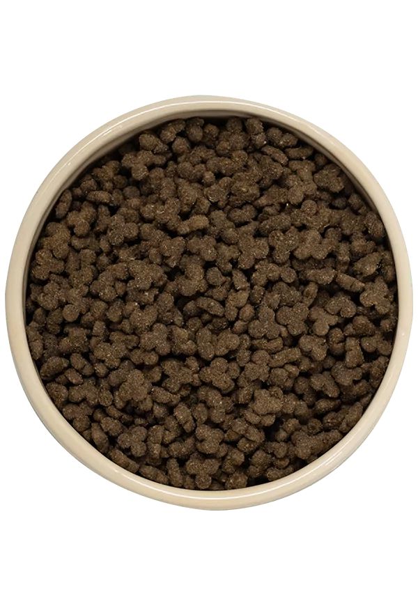 Lamb dog food top down | Laughing Dog Food