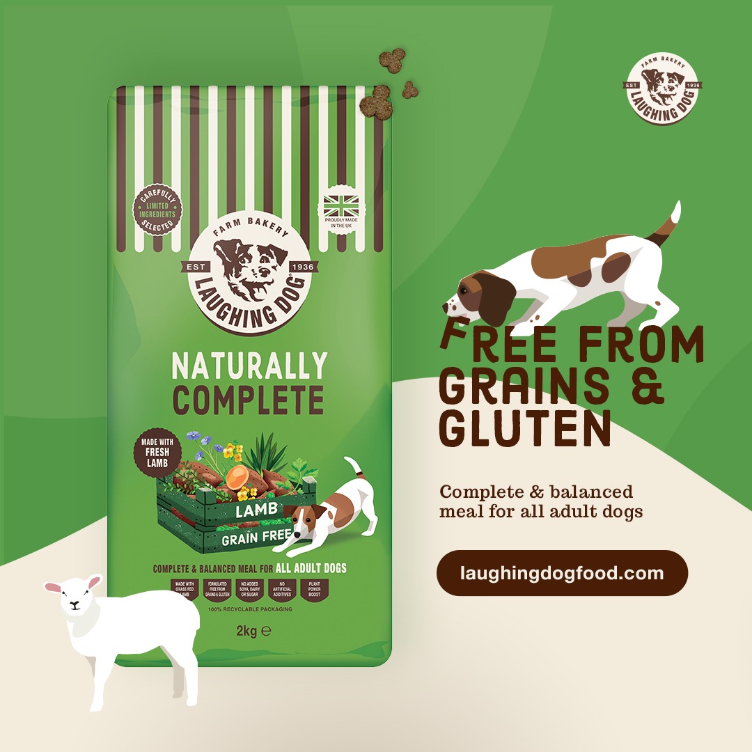 Limited ingredient hotsell lamb dog food