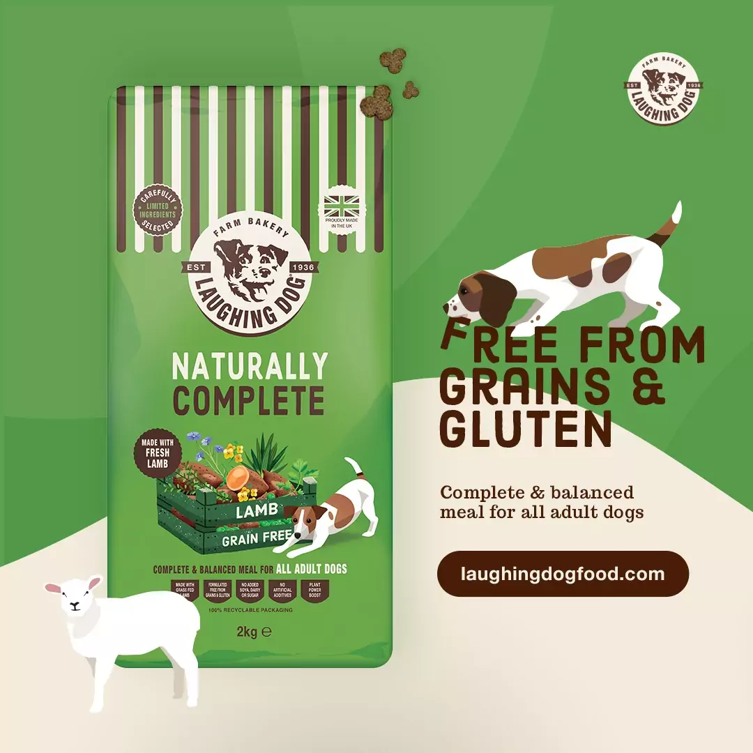 Social post of lamb dog food | Laughing Dog Food