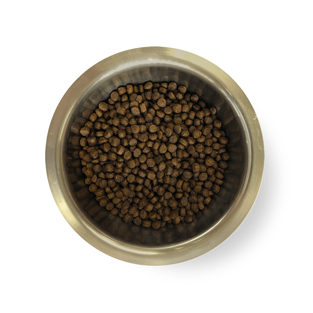 Steel dog bowl with food | Laughing Dog Food