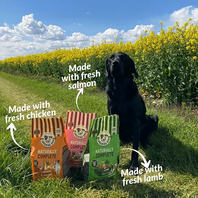 products 1 3 | Laughing Dog Food
