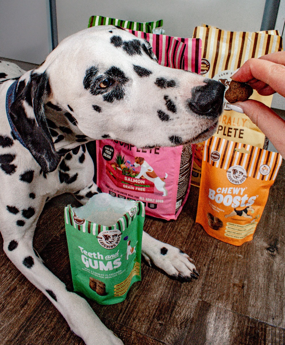 Dalmatian and dog treats | Laughing Dog Food