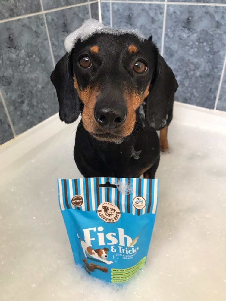 Dog in bath with treats | Laughing Dog Food