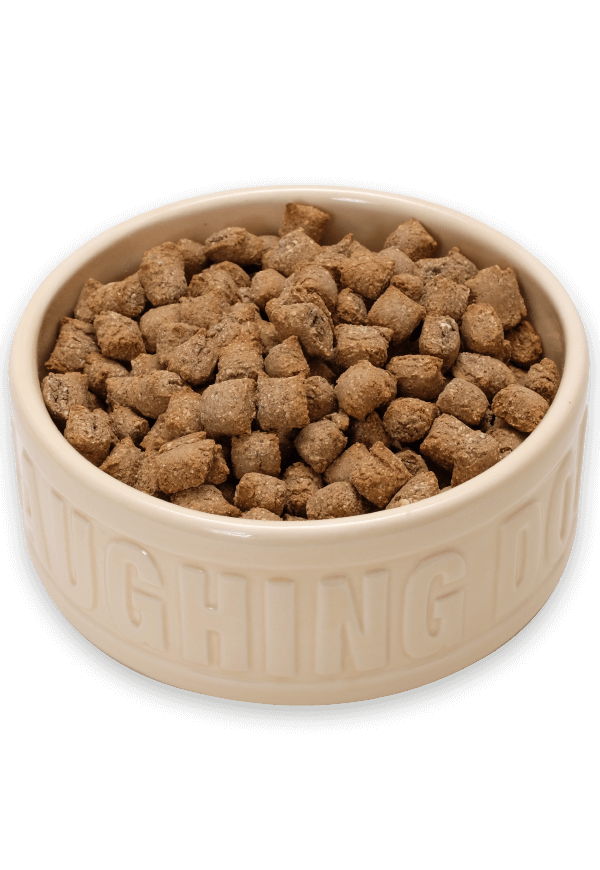 Mixer meal in bowl | Laughing Dog Food