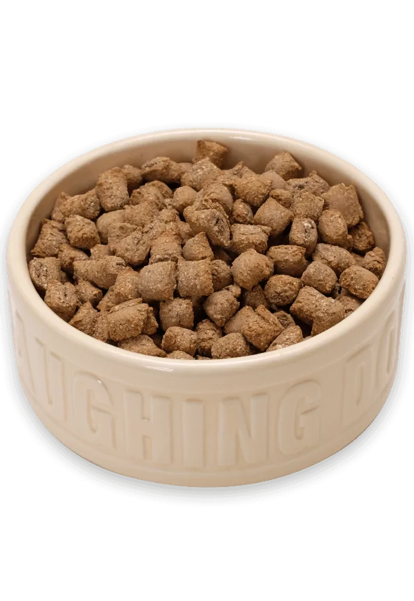 Mixer meal in bowl | Laughing Dog Food