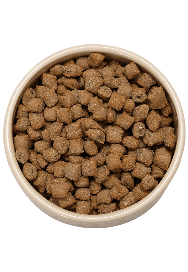 grain free mixer meal in bowl | Laughing Dog Food