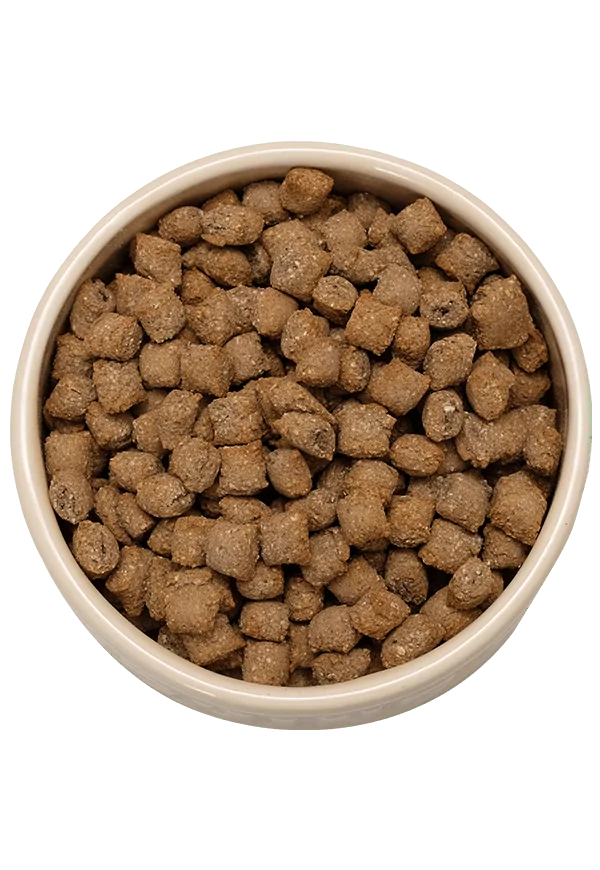grain free mixer meal in bowl | Laughing Dog Food
