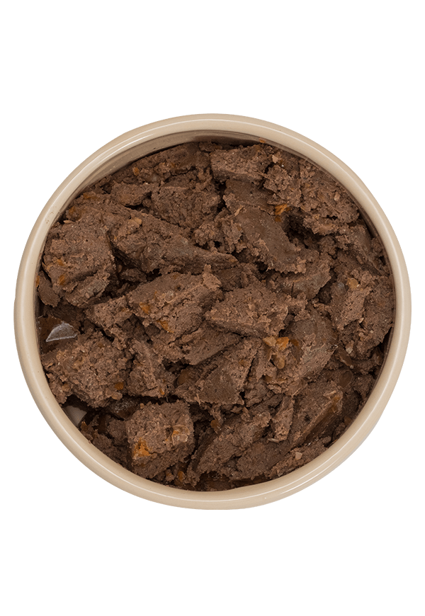 Lamb wet dog food in a bowl