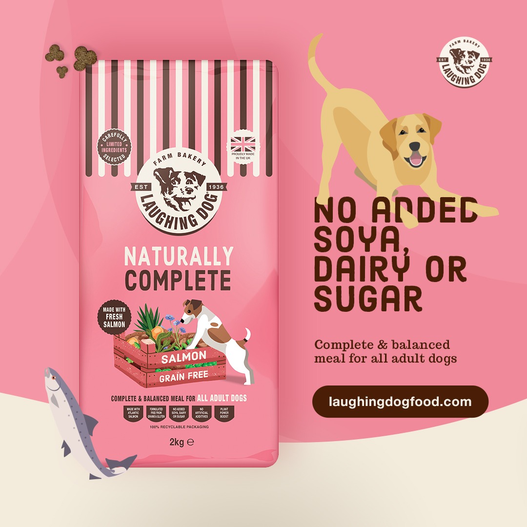 Limited ingredient dog food salmon sales