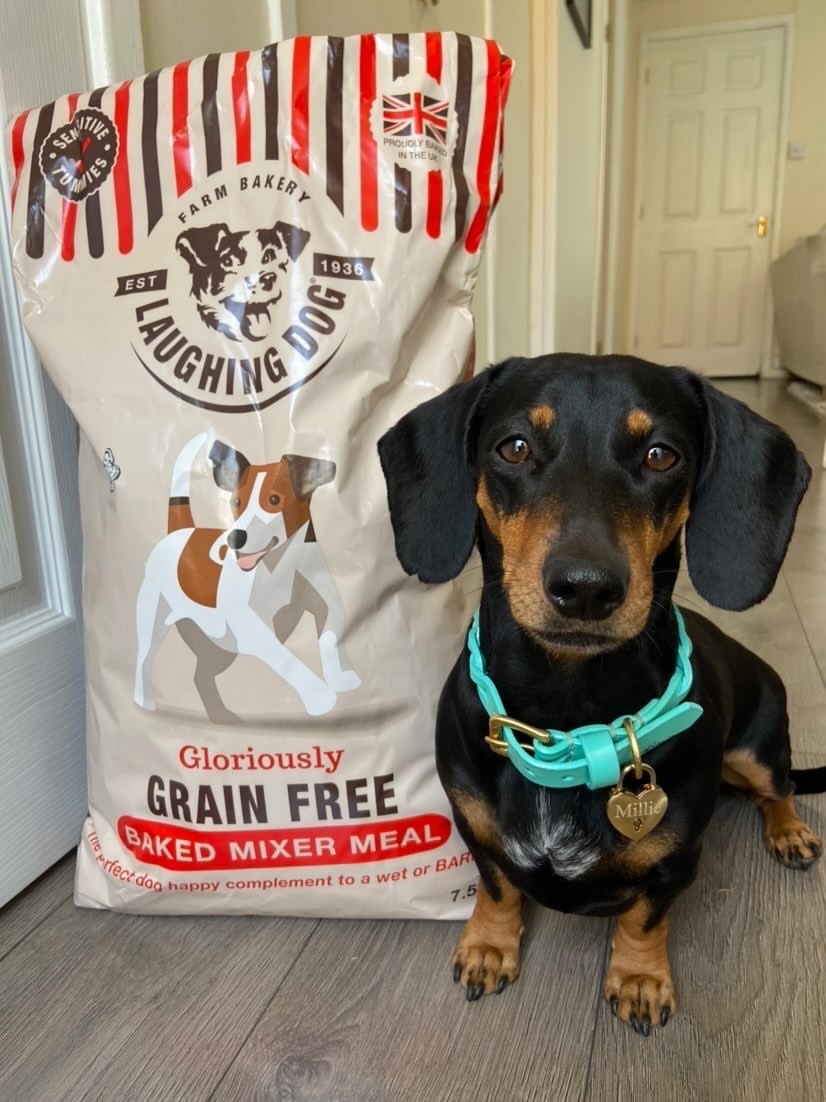 Sausage dog standing next to Grain Free baked mixer meal packet