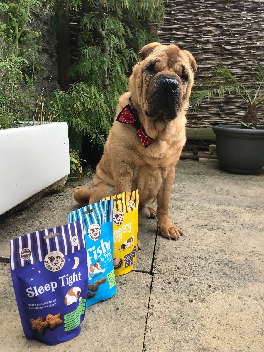 Big dog with dog treat bags | Laughing Dog Food