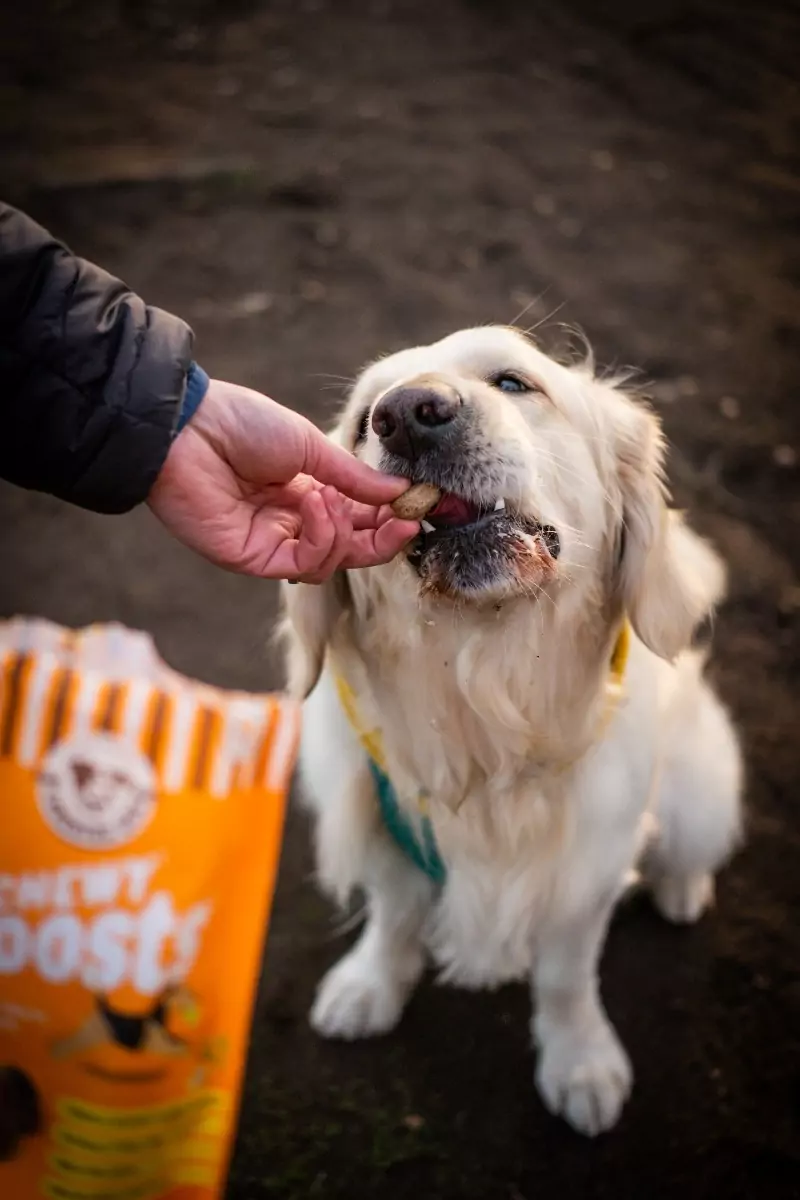 Chewy Chicken Dog Treats | Laughing Dog Food